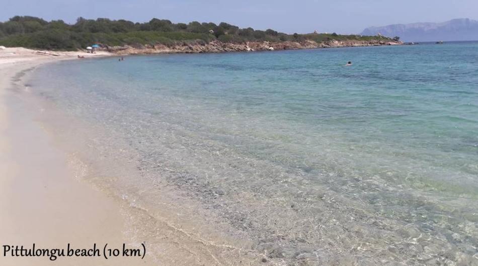 Marina Seaview Appartement Olbia Buitenkant foto